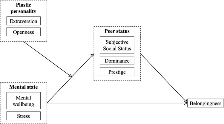 Figure 1. Hypothesized model of status and belongingness of first-year undergraduate students