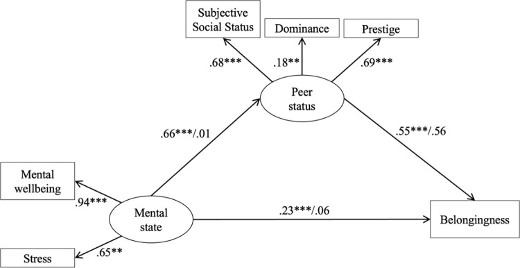 Figure 2. Results of the mediation model (standardized effects)